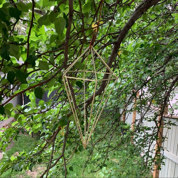 Umbra geometric air plant hangers - Picture 5 of 9